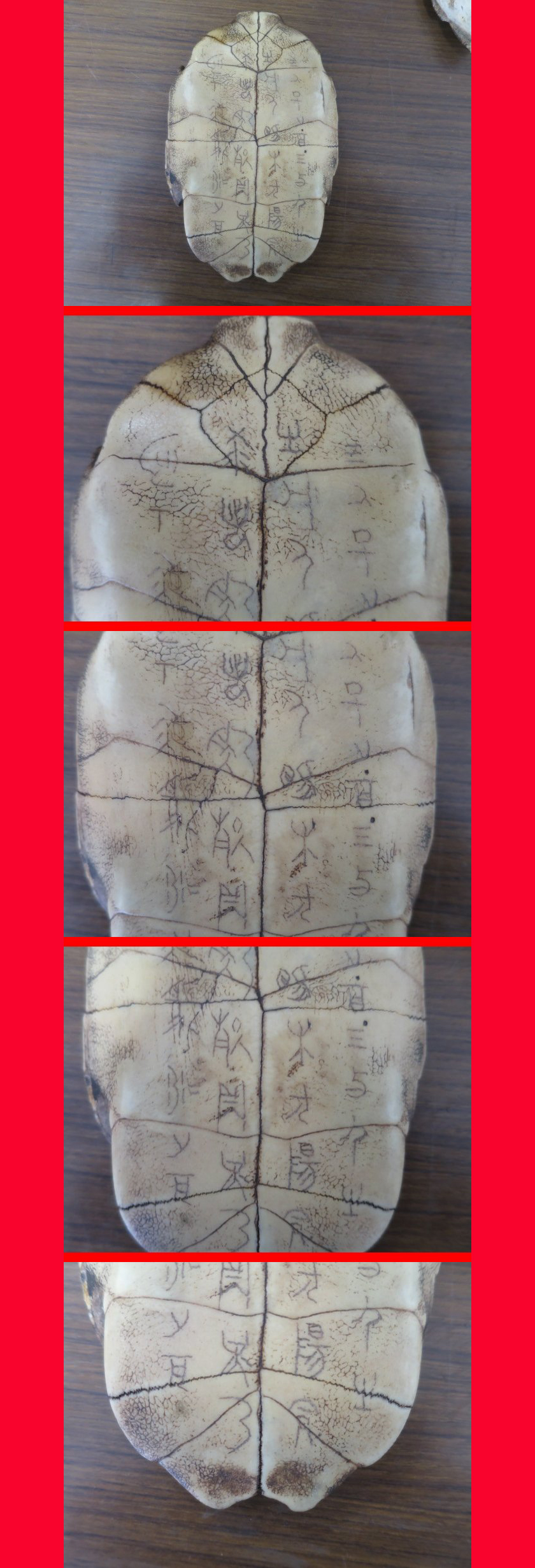 ようこそ！私共のオークションへ